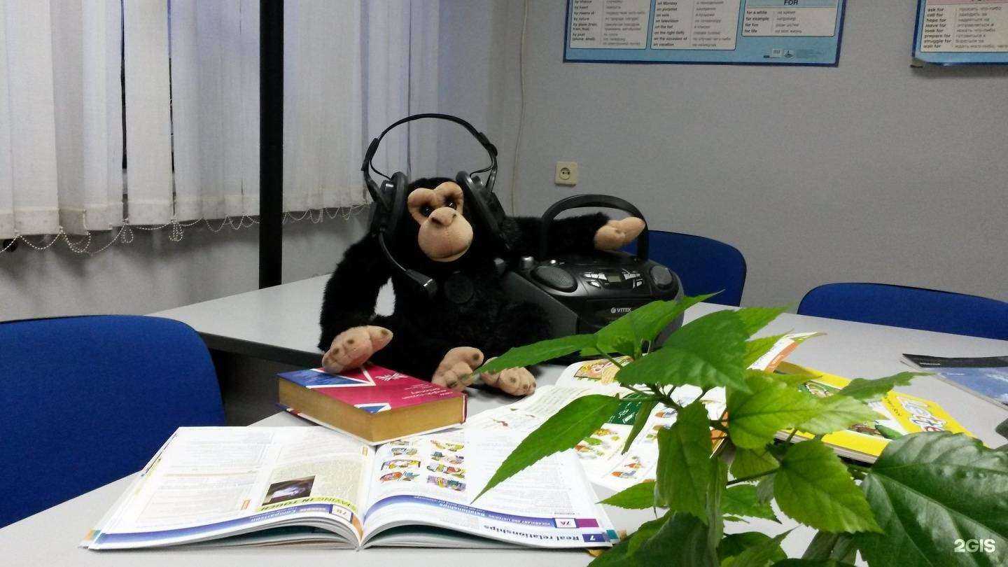 Отзывы на компанию Master English в Ростове-на-Дону c фото