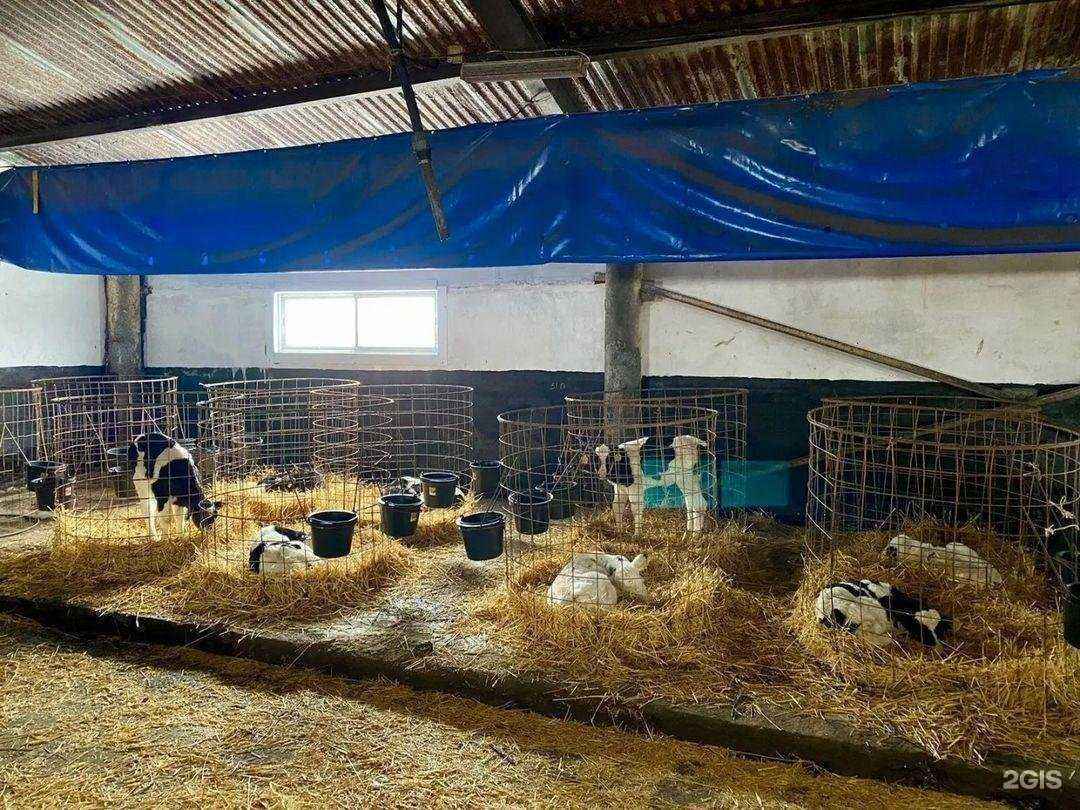 Отзывы на компанию Ярмарка в г. Лениногорск c фото