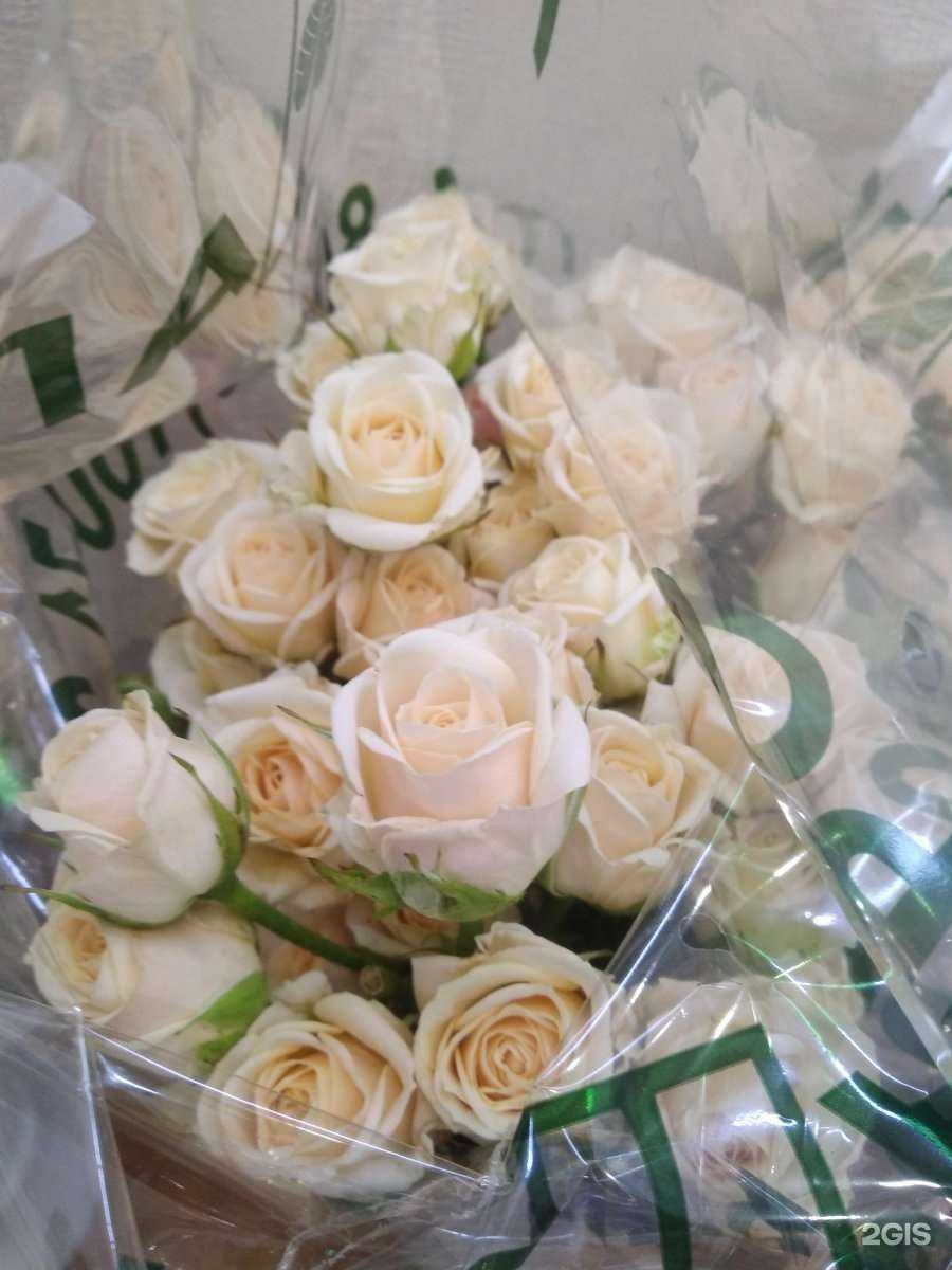 Отзывы на компанию Салон цветов в г. Магнитогорск c фото