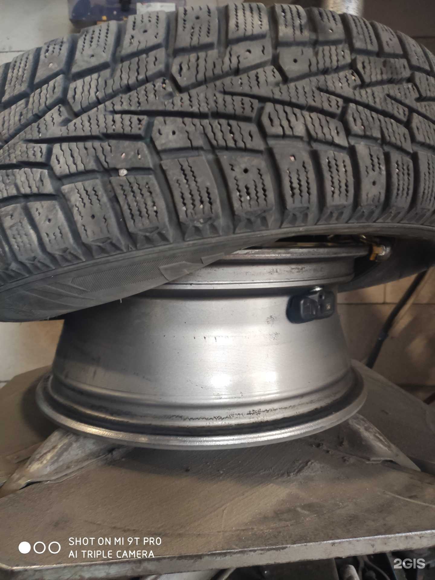 Отзывы на компанию Автореал в Калининграде c фото