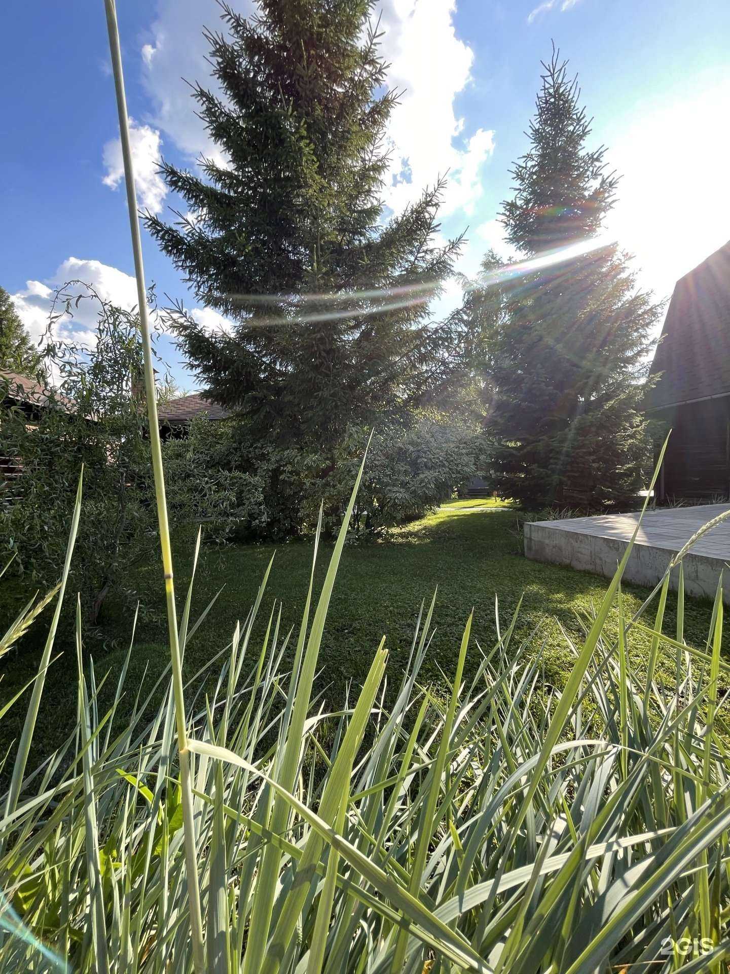 Отзывы на компанию Domvam_ в г. Новосибирск c фото