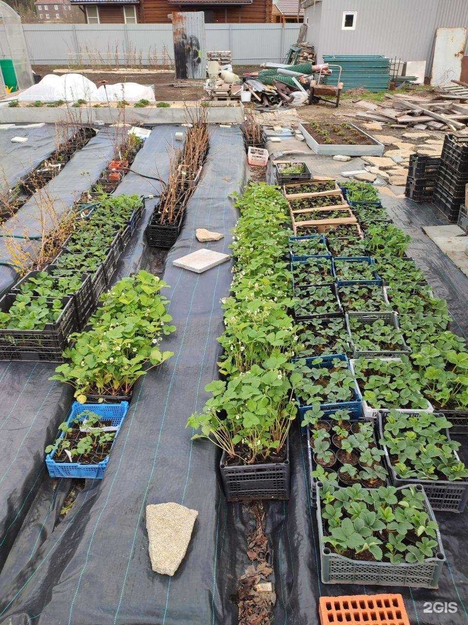 Отзывы на компанию Экостиль в г. Екатеринбург c фото