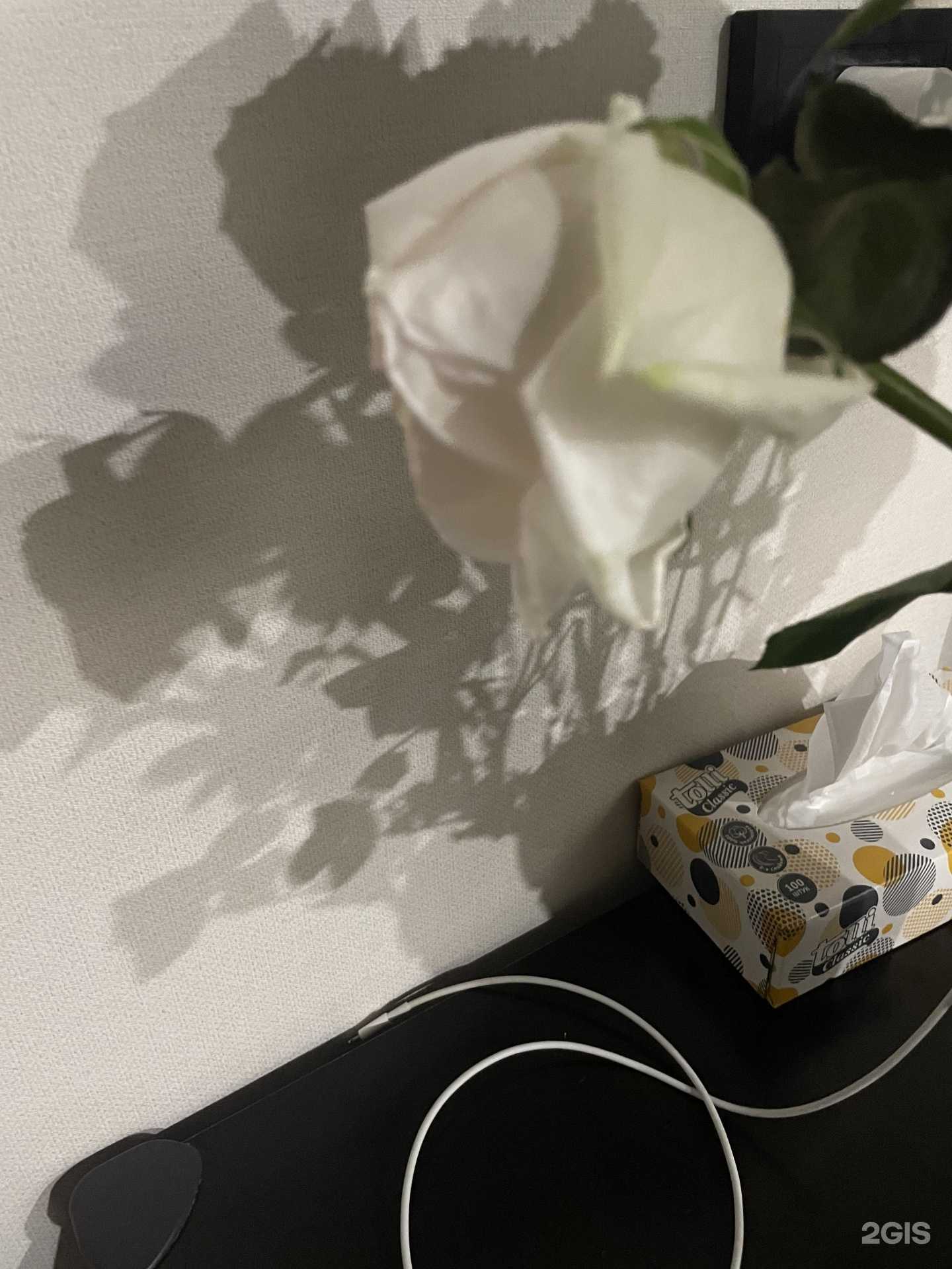 Отзывы на компанию Магазин цветов 67 в г. Смоленск c фото