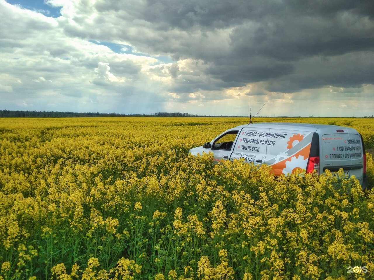 Отзывы на компанию Балтавтоматика в г. Калининград c фото