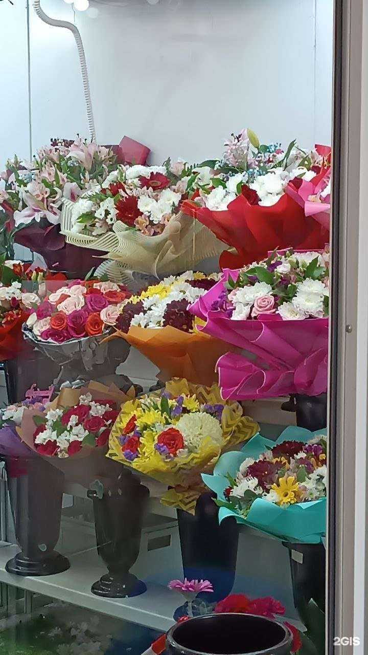 Отзывы на компанию Gelda в г. Реутов c фото