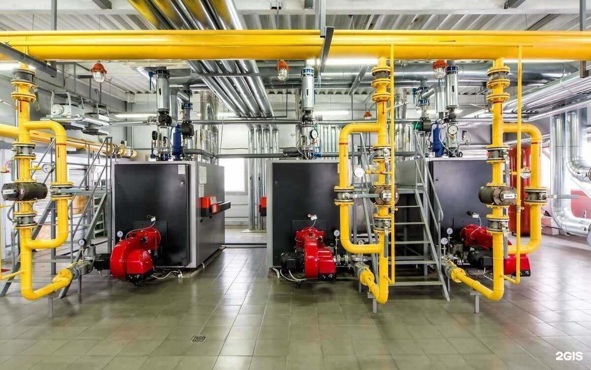 Отзывы на компанию Вектор в Новосибирске c фото