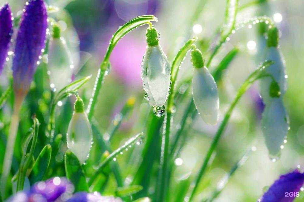 Отзывы на компанию Норма-Дон в г. Ростов-на-Дону c фото