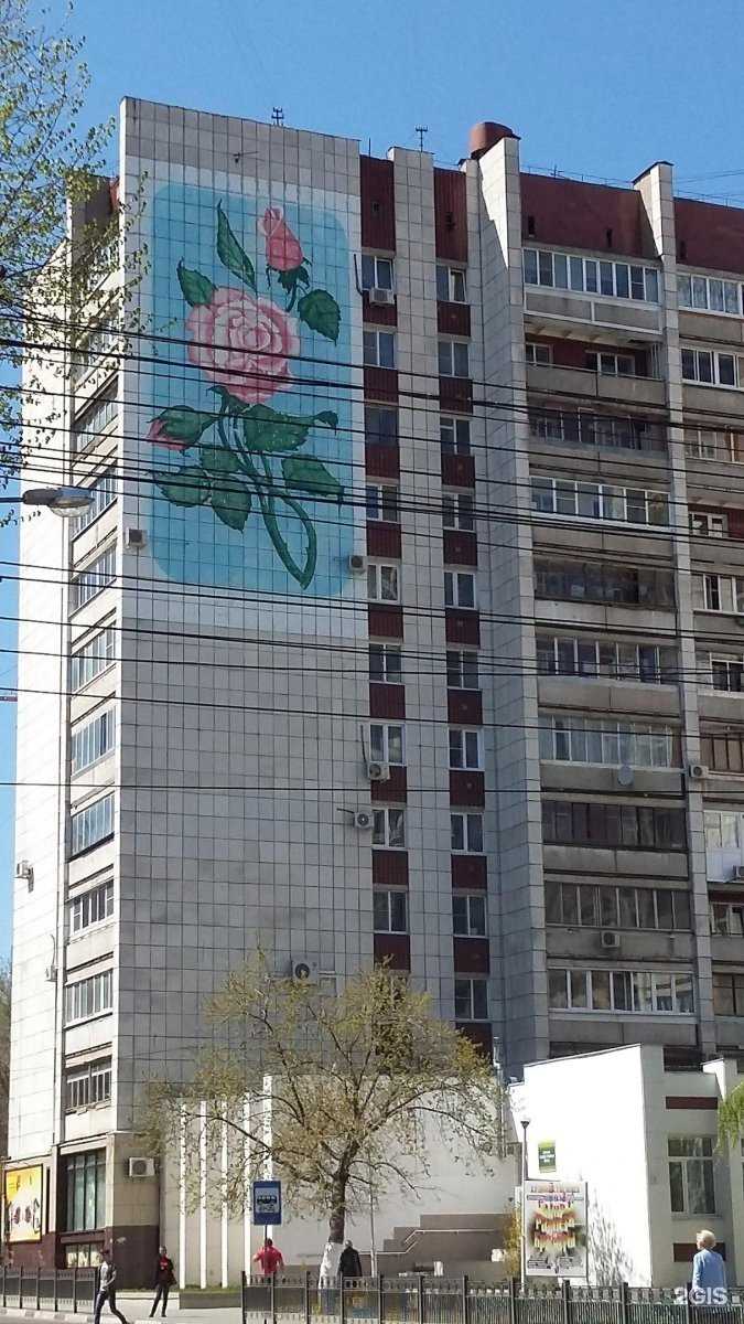 Отзывы на компанию ProfLine в Воронеже c фото - фотография 2 из 2