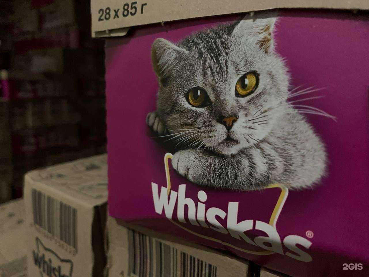 Отзывы на компанию Норт в г. Челябинск c фото