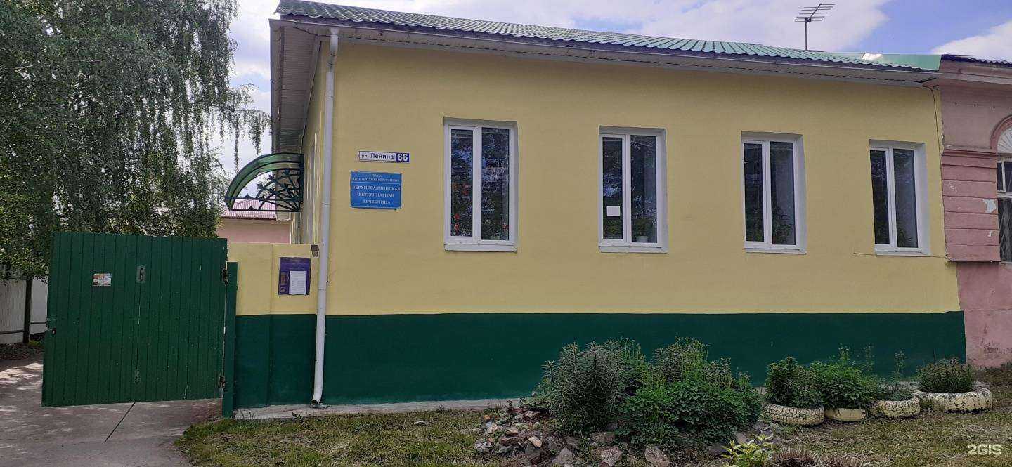 Отзывы на компанию Черный Тюльпан в Верхней Салде c фото