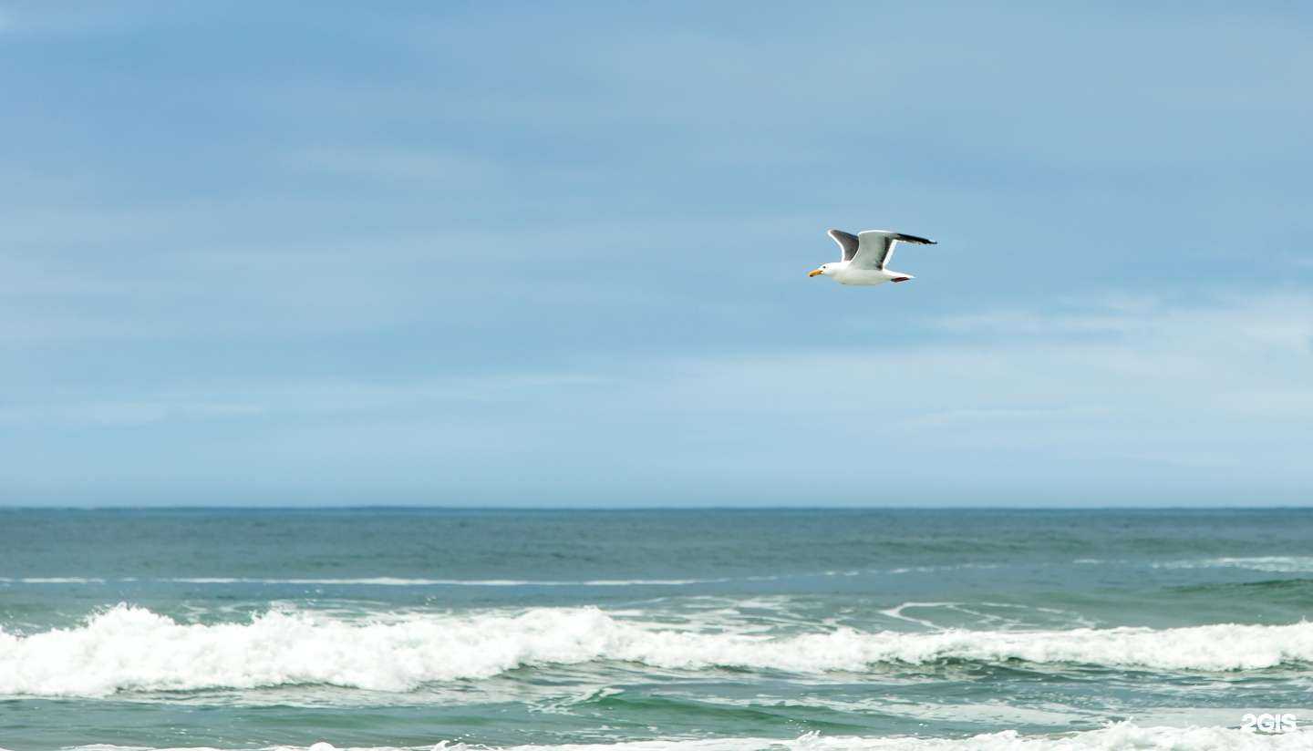 Отзывы на компанию ВолгоградНИПИморнефть в г. Волгоград c фото