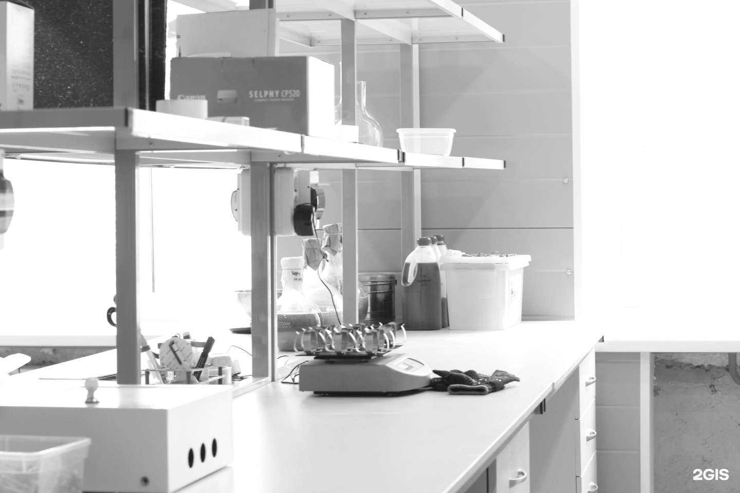 Отзывы на компанию Дарвин в Томске c фото