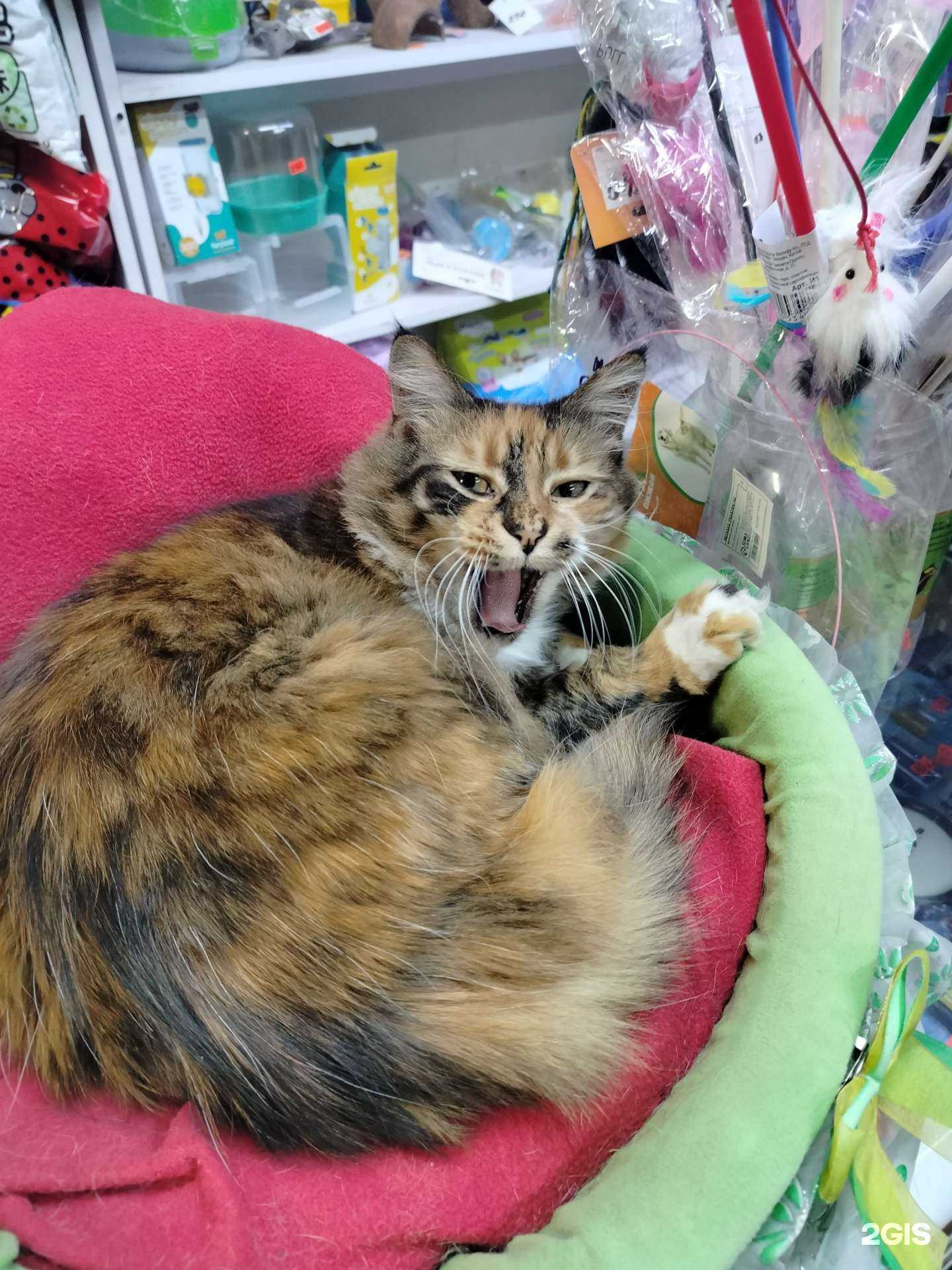 Отзывы на компанию Матильда в Артёме c фото