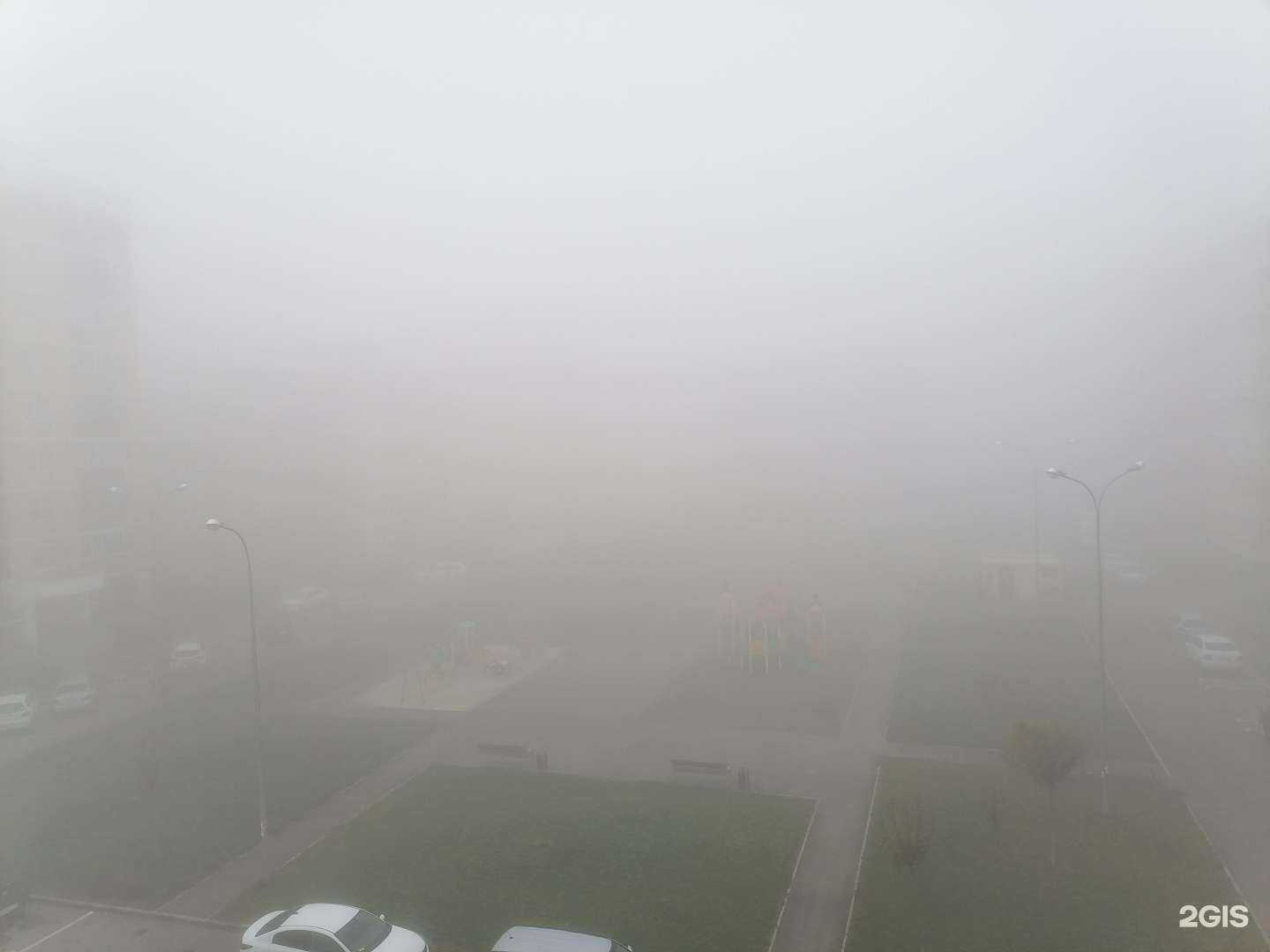 Отзывы на компанию Color Boots в Краснодаре c фото