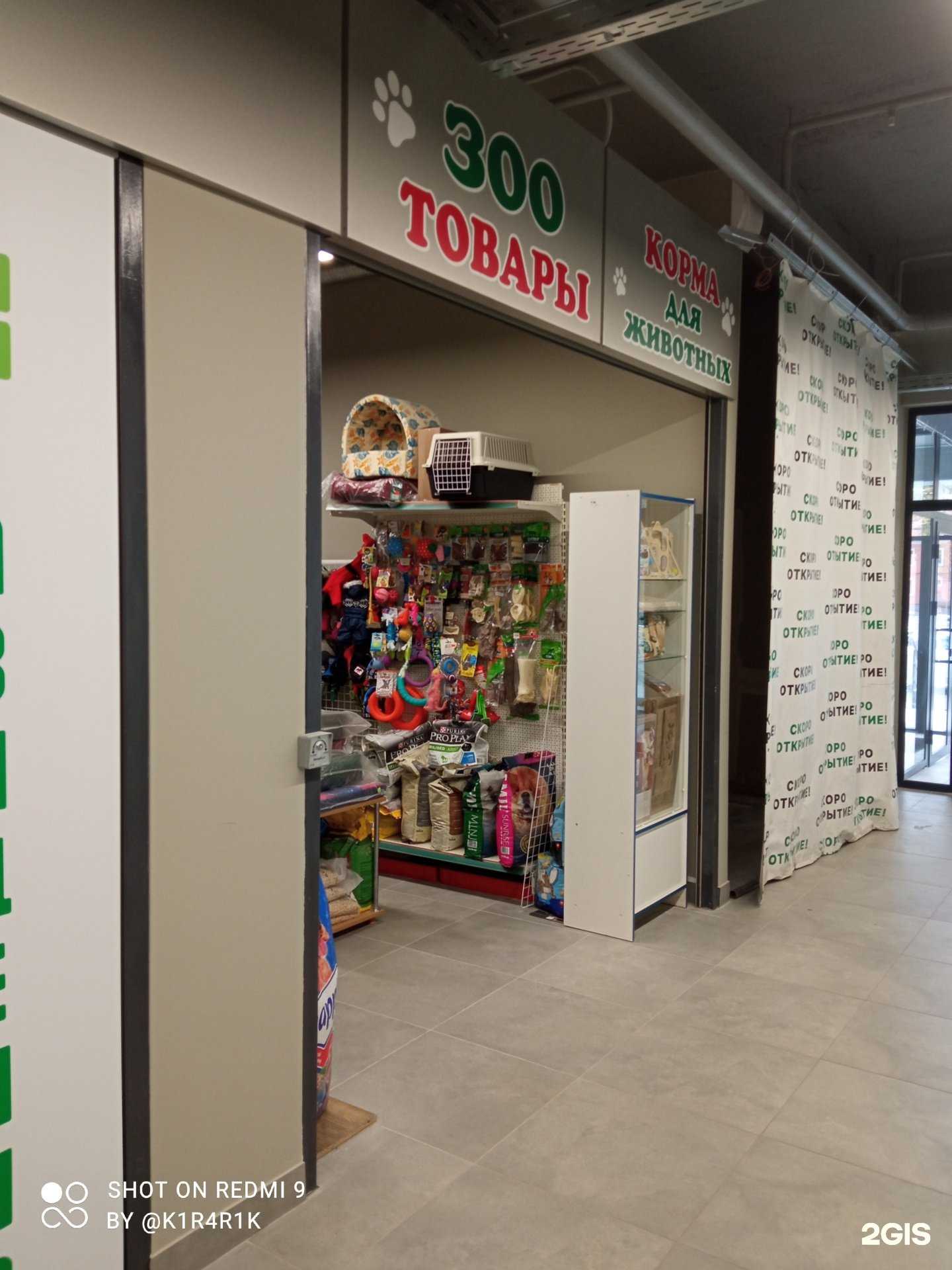 Отзывы на компанию Зоомир в г. Калининград c фото