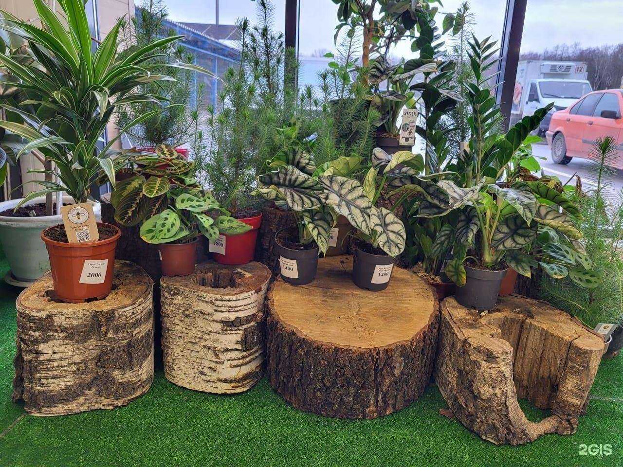 Отзывы на компанию О! Цветы в г. Обнинск c фото