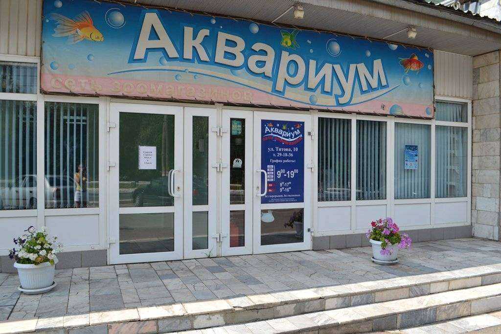 Отзывы на компанию Аквариум в г. Саранск c фото