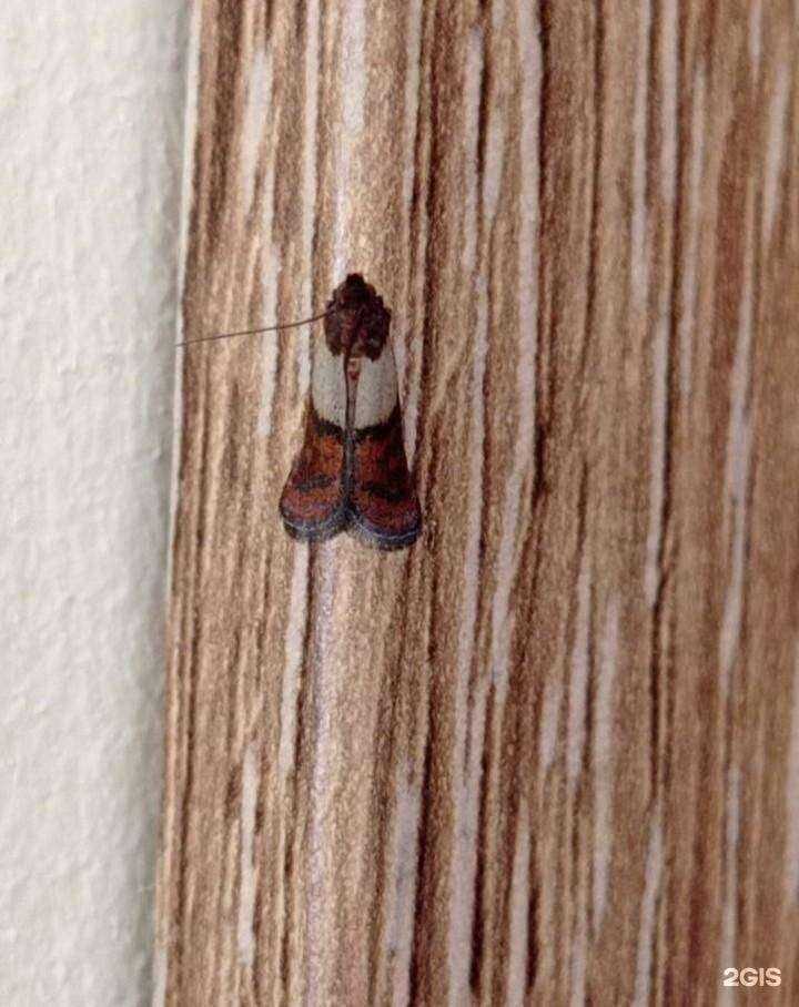 Отзывы на компанию Природное земледелие в г. Саяногорск c фото