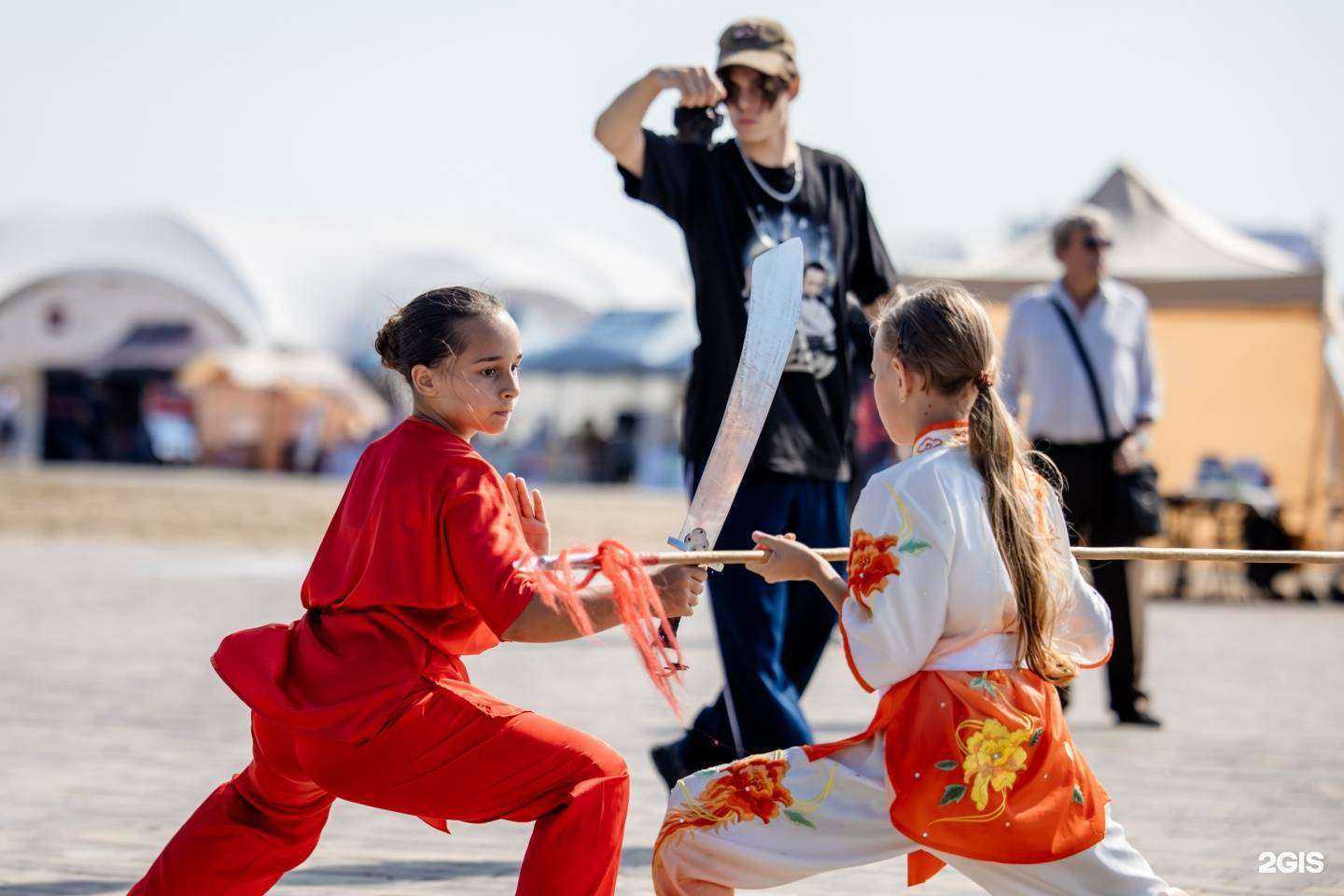 Отзывы на компанию Дракон и Феникс в г. Липецк c фото