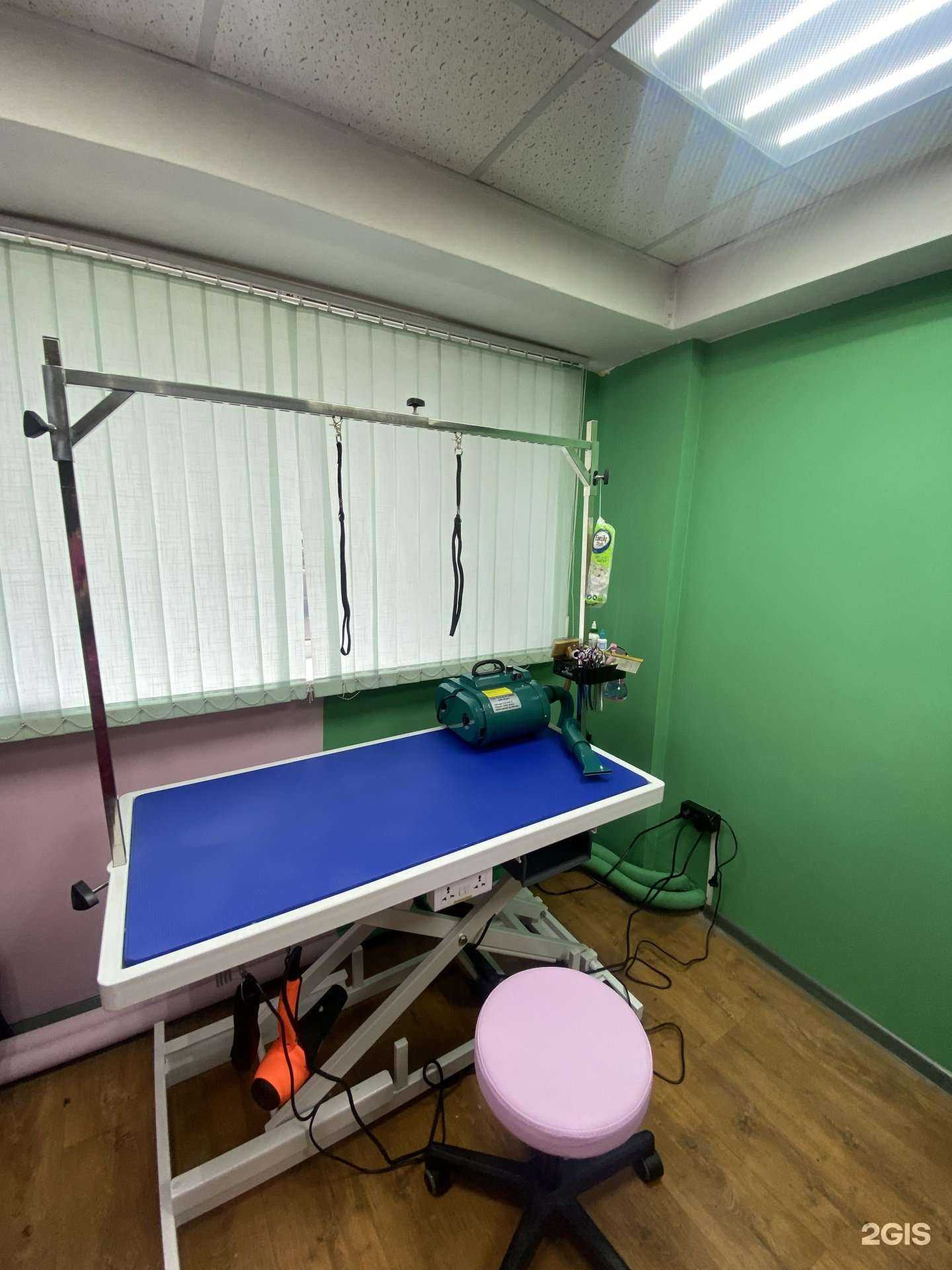 Отзывы на компанию Bubble grum в Петропавловске-Камчатском c фото