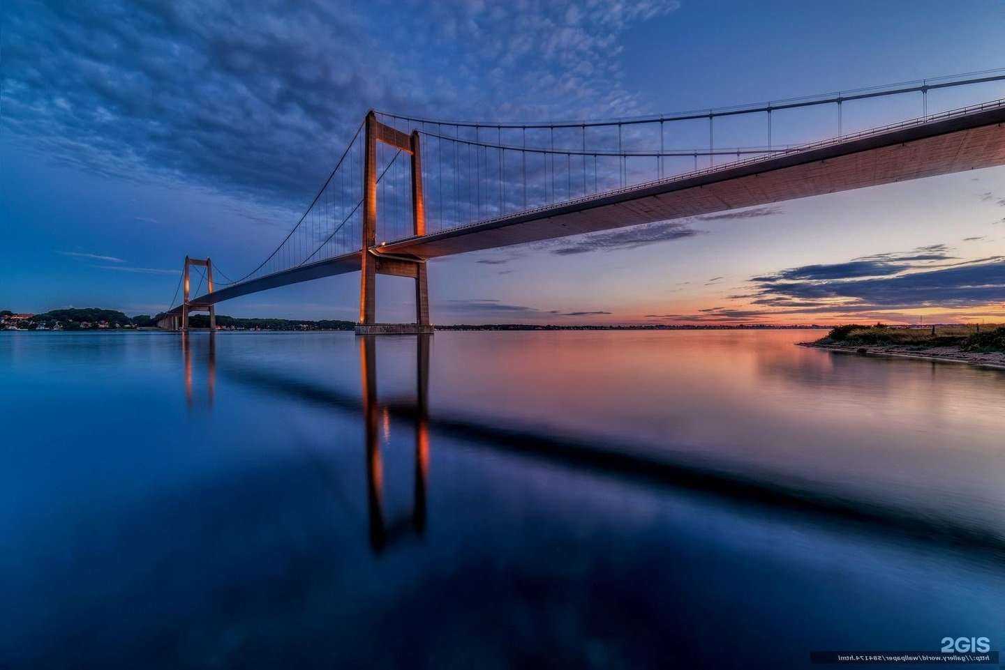 Отзывы на компанию Электроника в г. Ярославль c фото