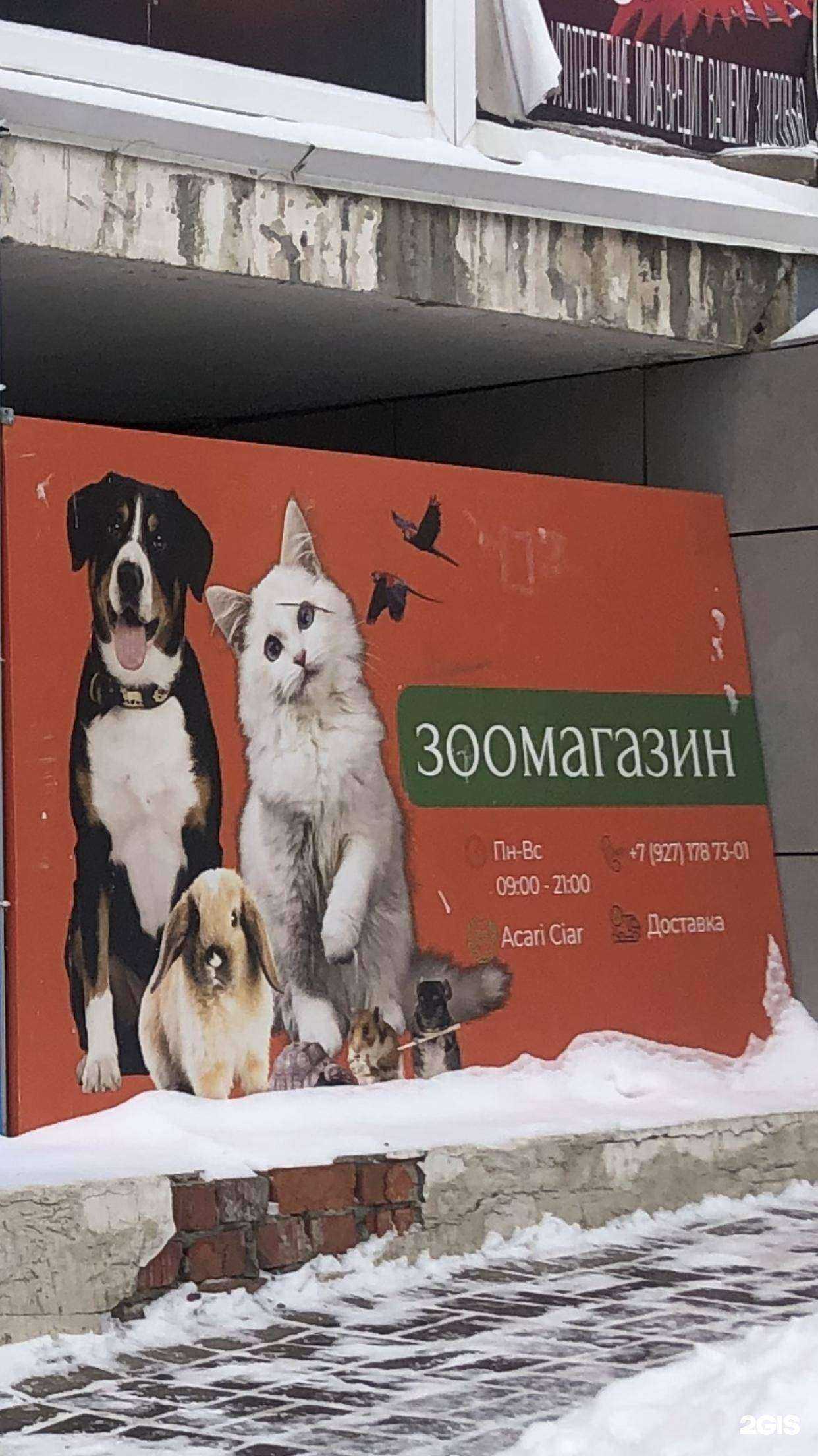 Отзывы на компанию Serdce Lisa в Саранске c фото