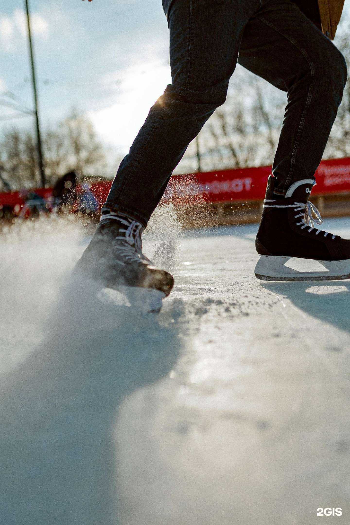 Отзывы на компанию Дельфин в г. Воронеж c фото