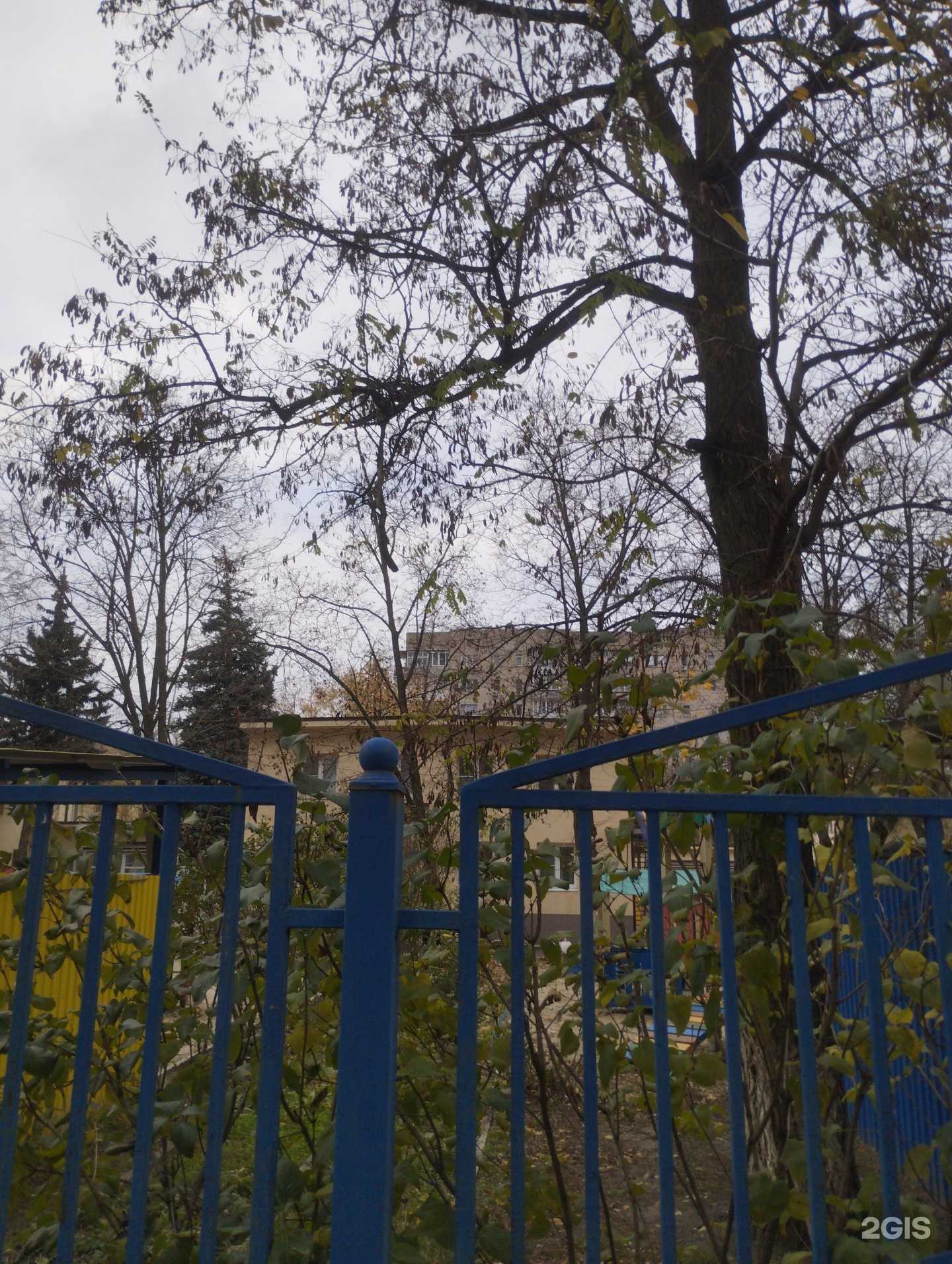 Отзывы на компанию Детский сад №74 в г. Ростов-на-Дону c фото