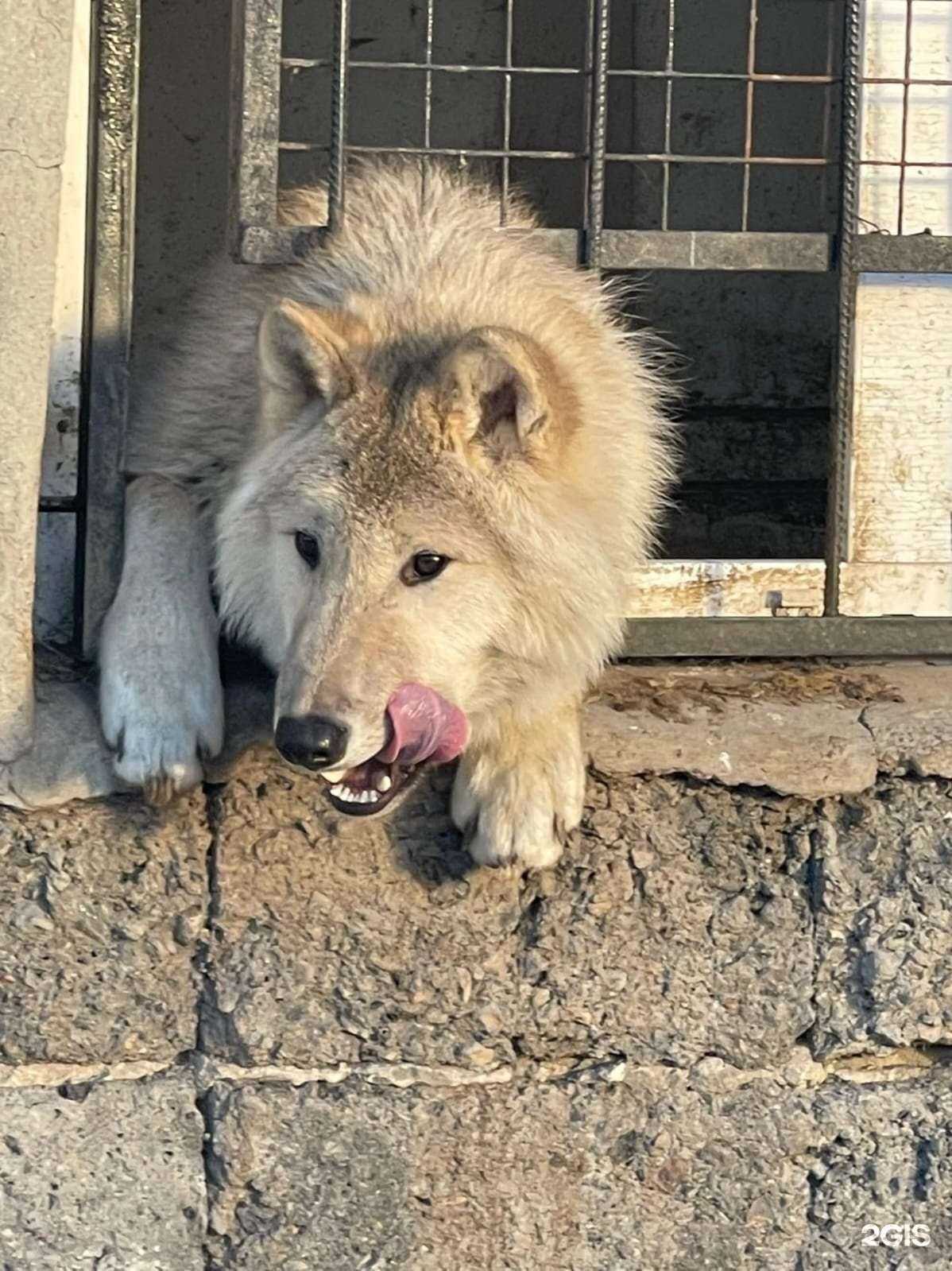 Отзывы на компанию Город в г. Урюпинск c фото