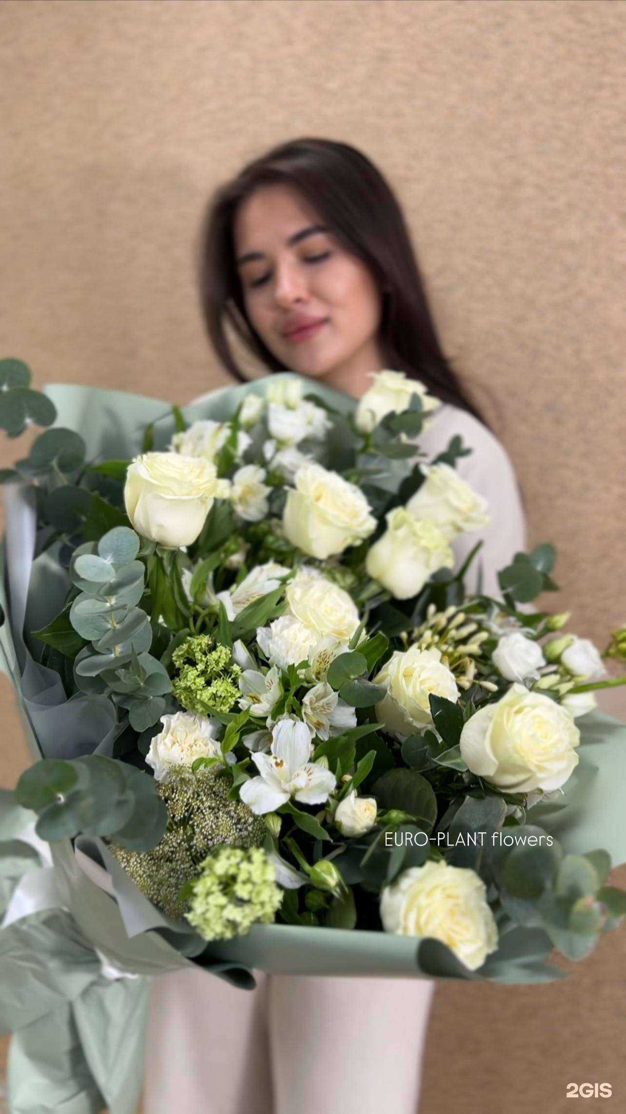 Отзывы на компанию Евро-плант в Тюмени c фото