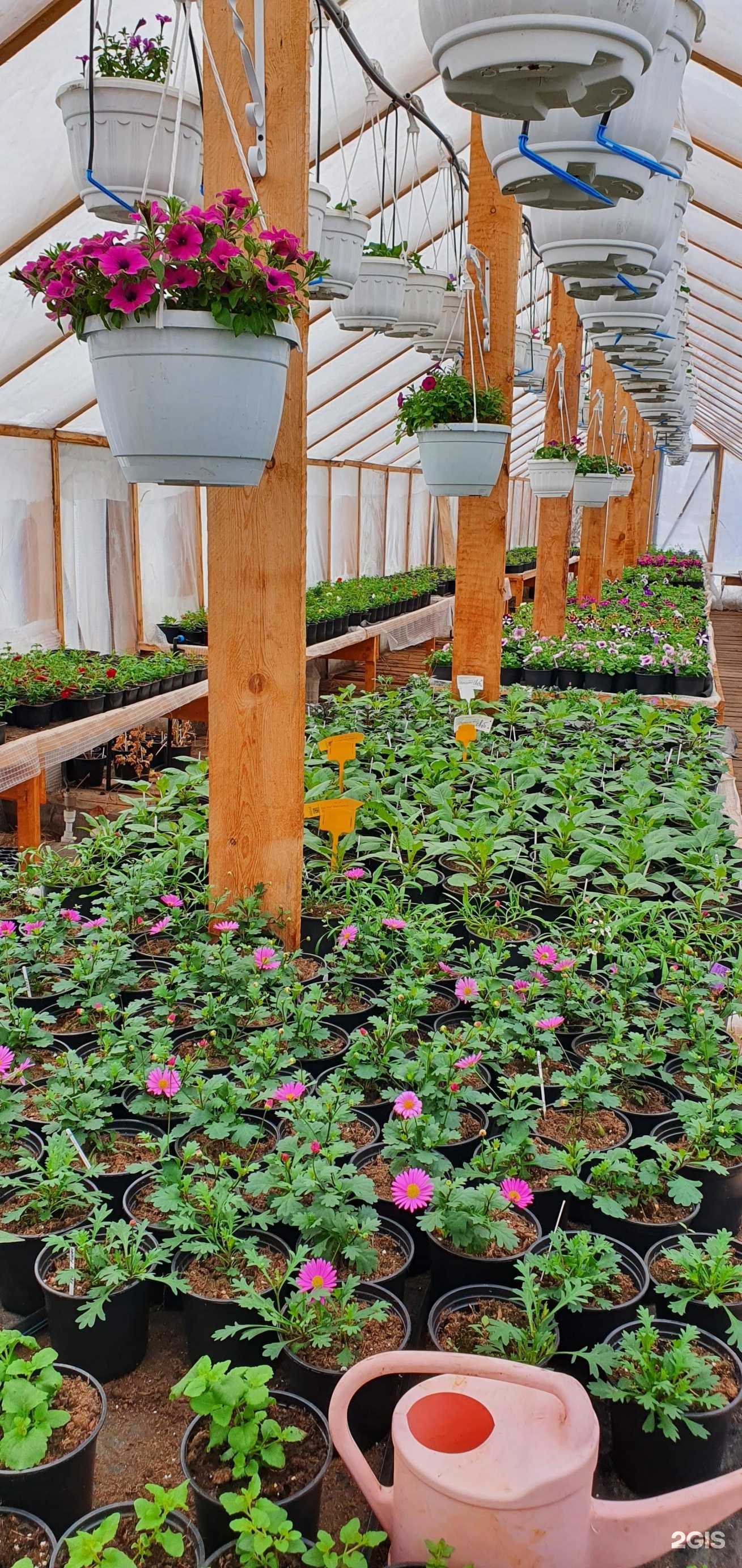 Отзывы на компанию Незабудка 13 в Якутске c фото