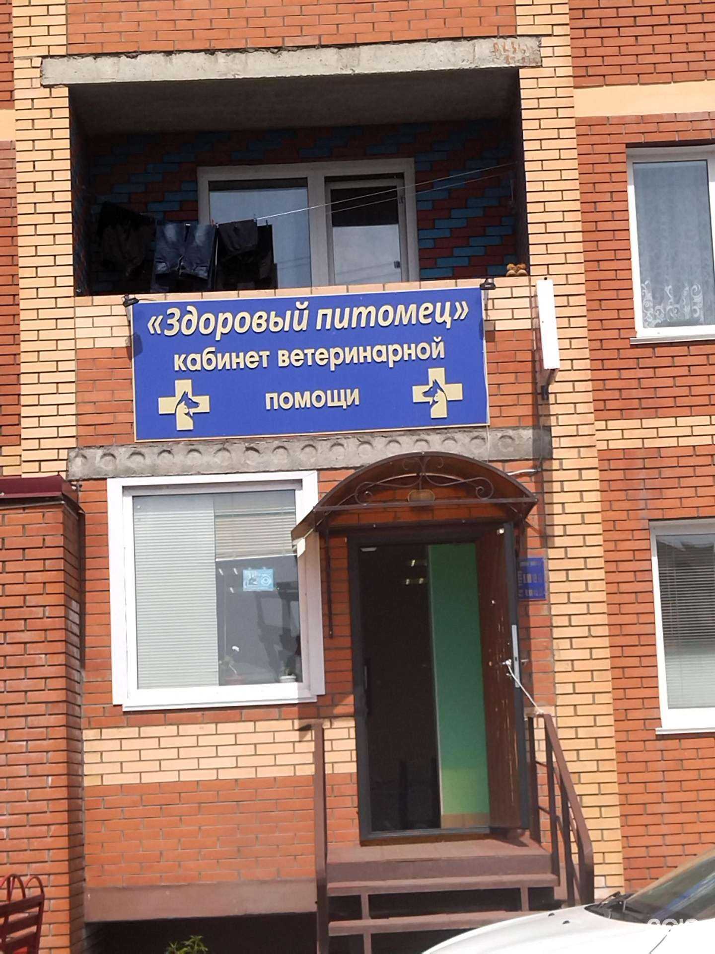 Отзывы на компанию Здоровый питомец в г. Киселёвск c фото