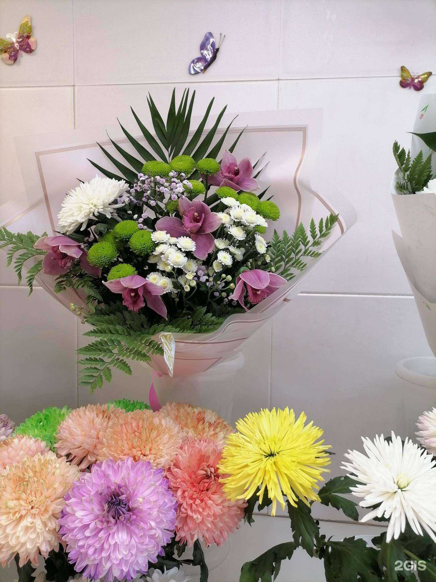 Отзывы на компанию Ромашка в Красноярске c фото