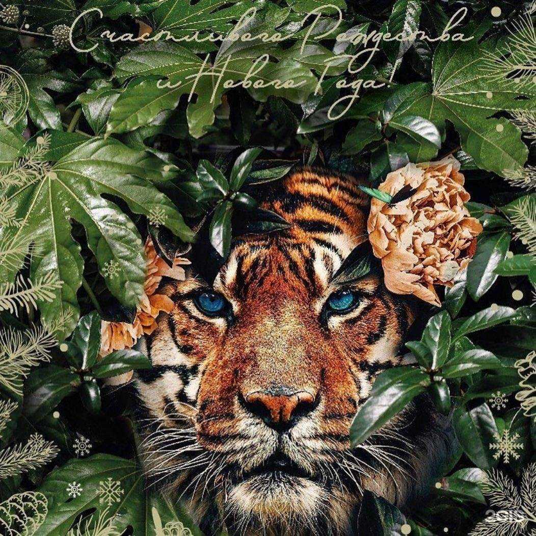 Отзывы на компанию Русалочка в Сочи c фото