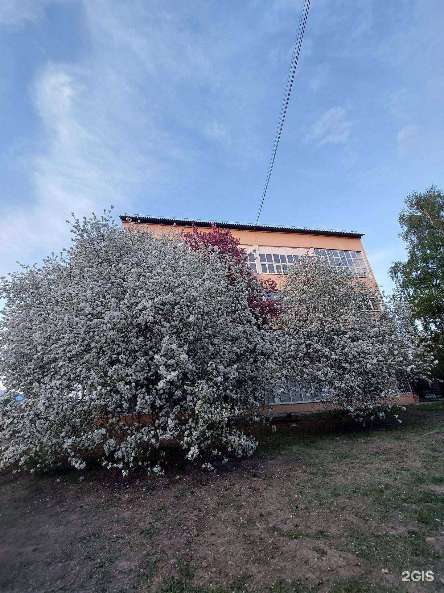 Отзывы на компанию LS в Барнауле c фото - фотография 2 из 2