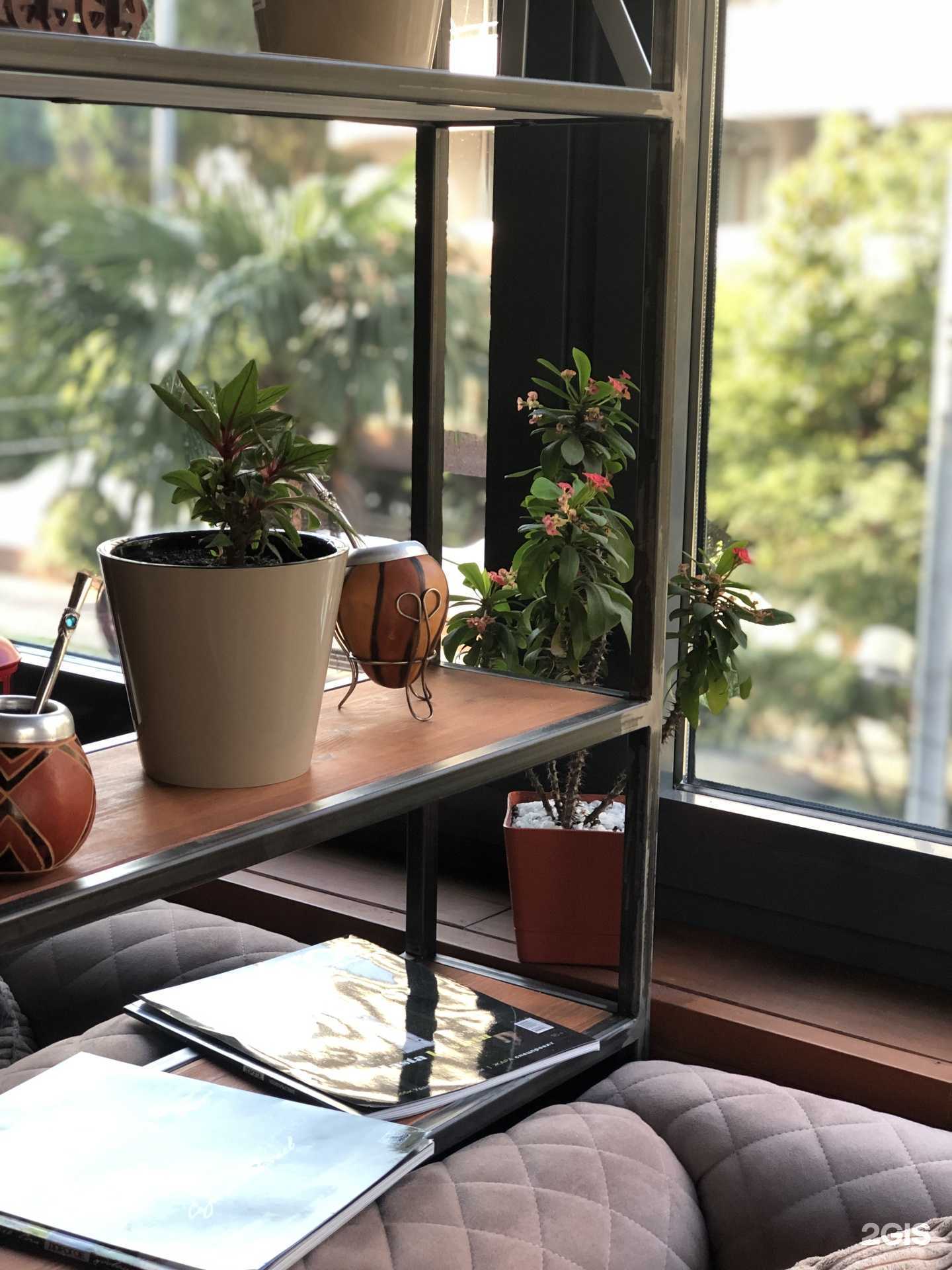 Отзывы на компанию Паровоз в Сочи c фото