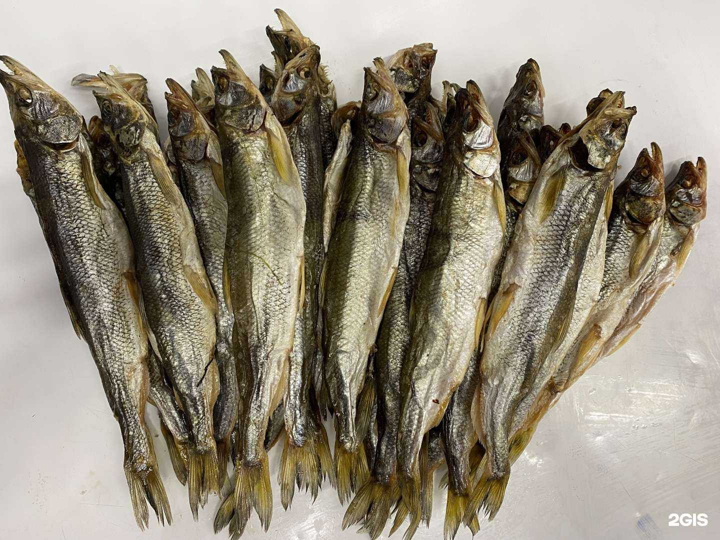 Отзывы на компанию Косатка в г. Новокузнецк c фото