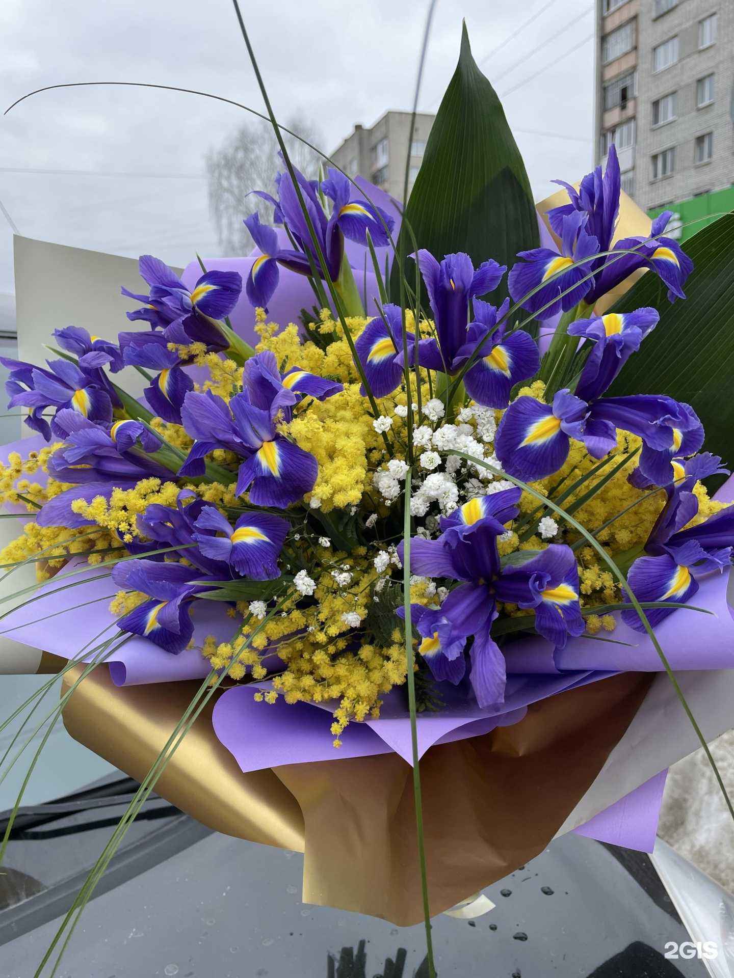 Отзывы на компанию Герберка в Брянске c фото