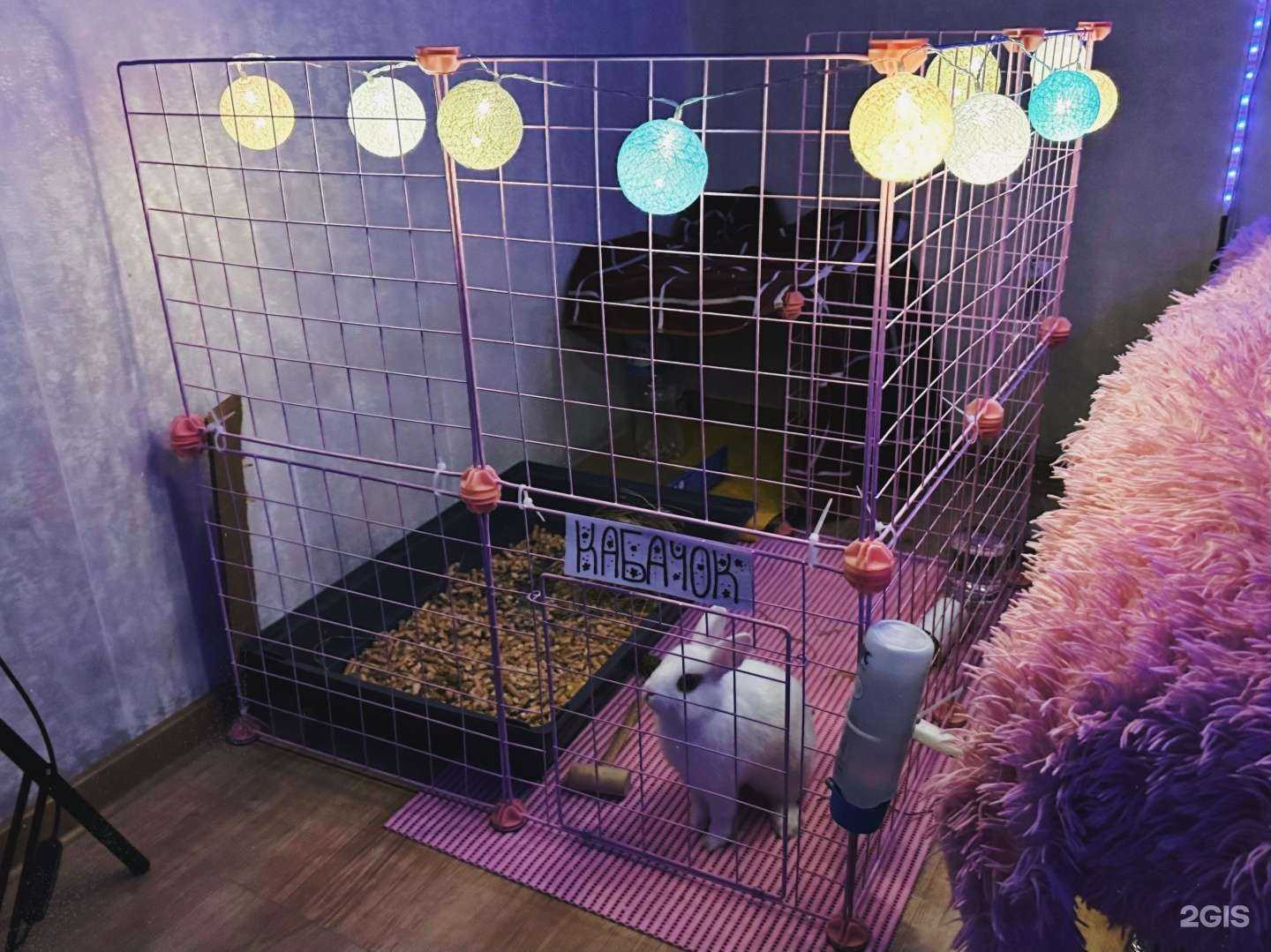 Отзывы на компанию Зоомагазин70 в Томске c фото