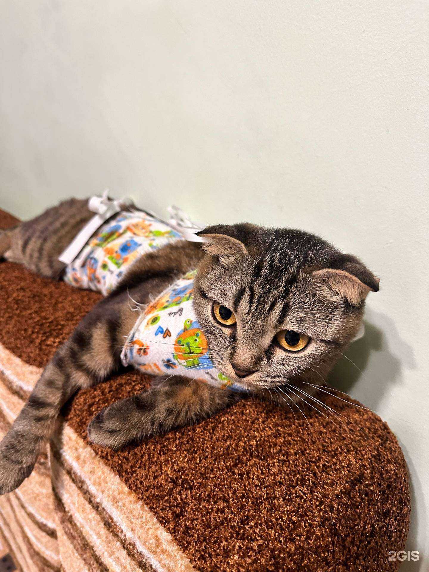 Отзывы на компанию Забота в Иркутске c фото