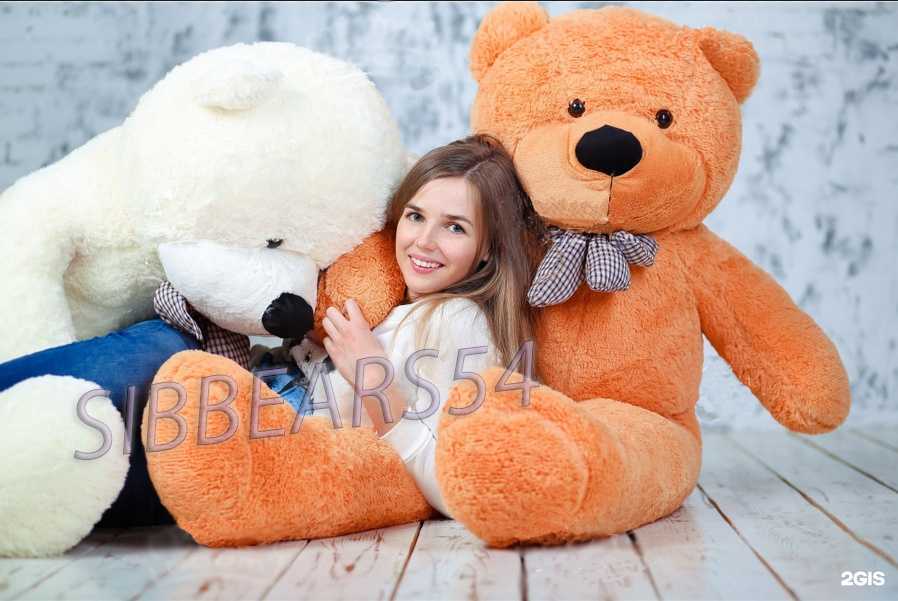 Отзывы на компанию Sibbears54 в г. Новосибирск c фото