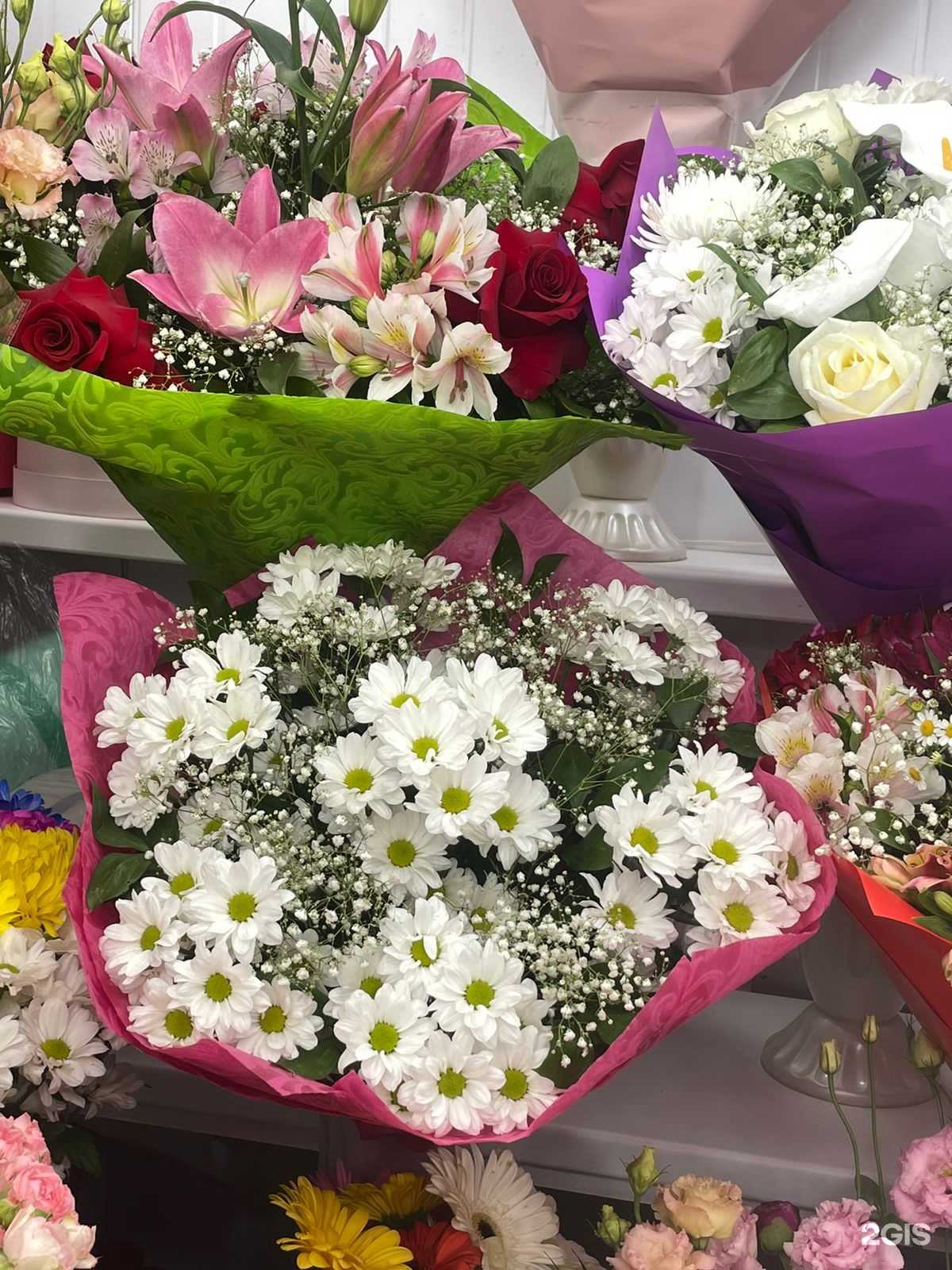 Отзывы на компанию Орхидея в Сургуте c фото