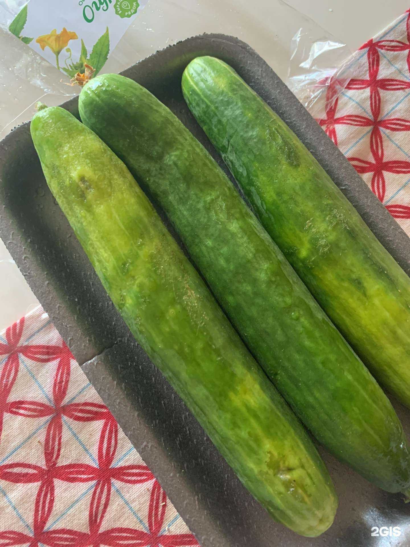 Отзывы на компанию Самокат в Екатеринбурге c фото