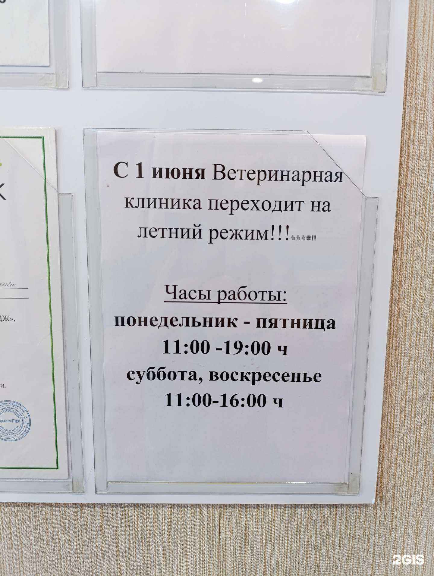 Отзывы на компанию Ветеринарная клиника в г. Череповец c фото