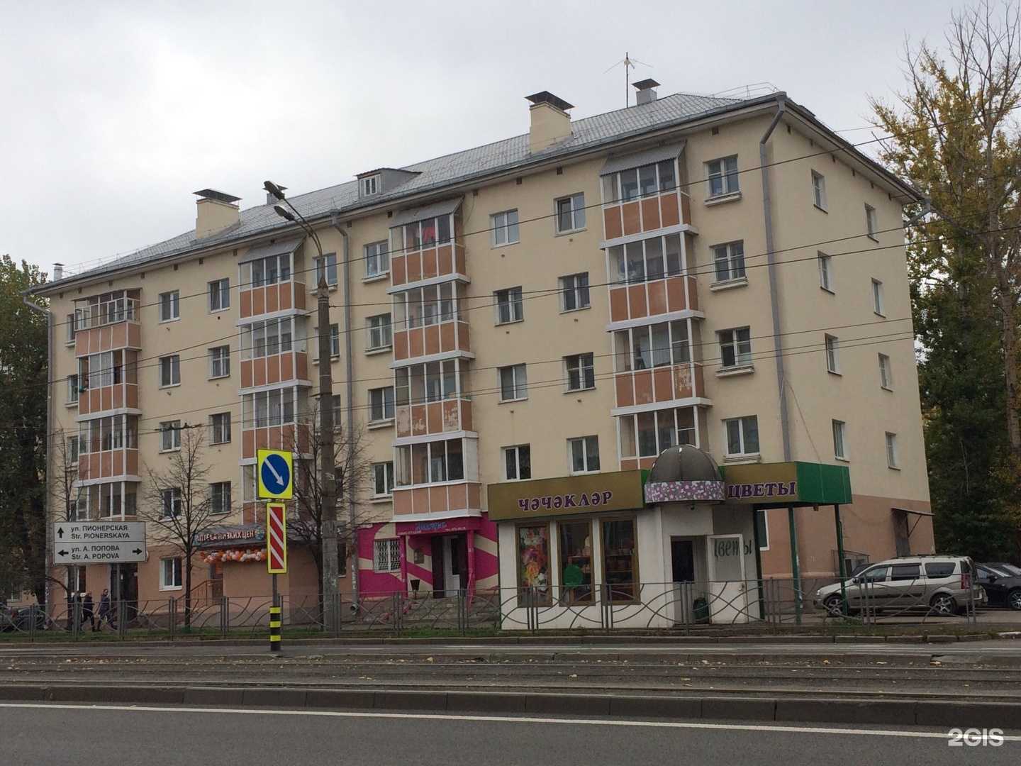 Отзывы на компанию Птичка в Казани c фото - фотография 2 из 2