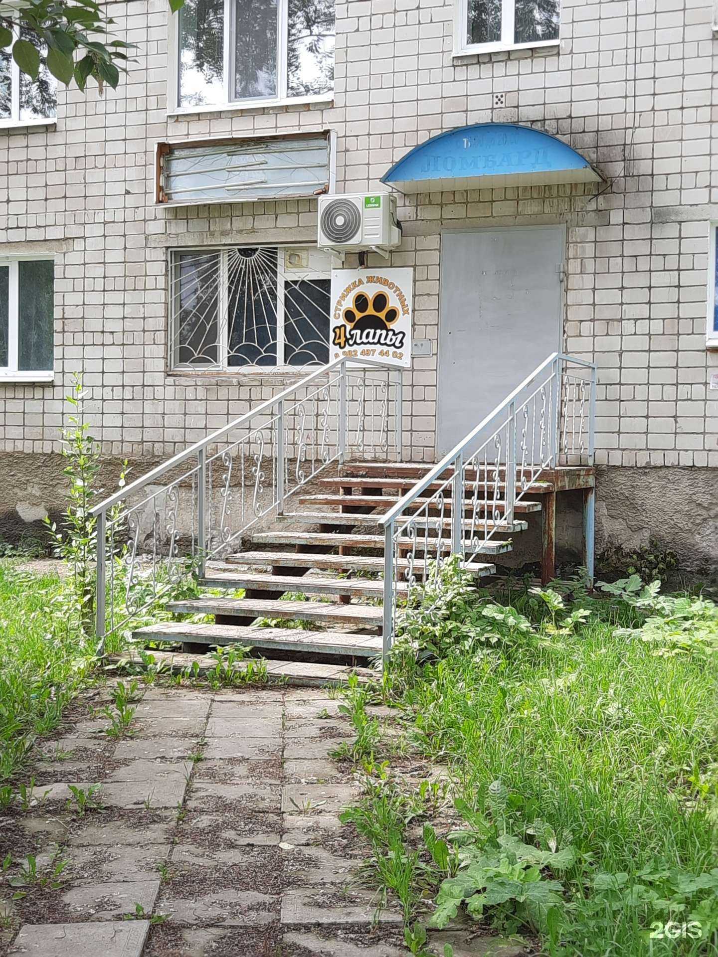 Отзывы на компанию 4 лапы в Березниках c фото