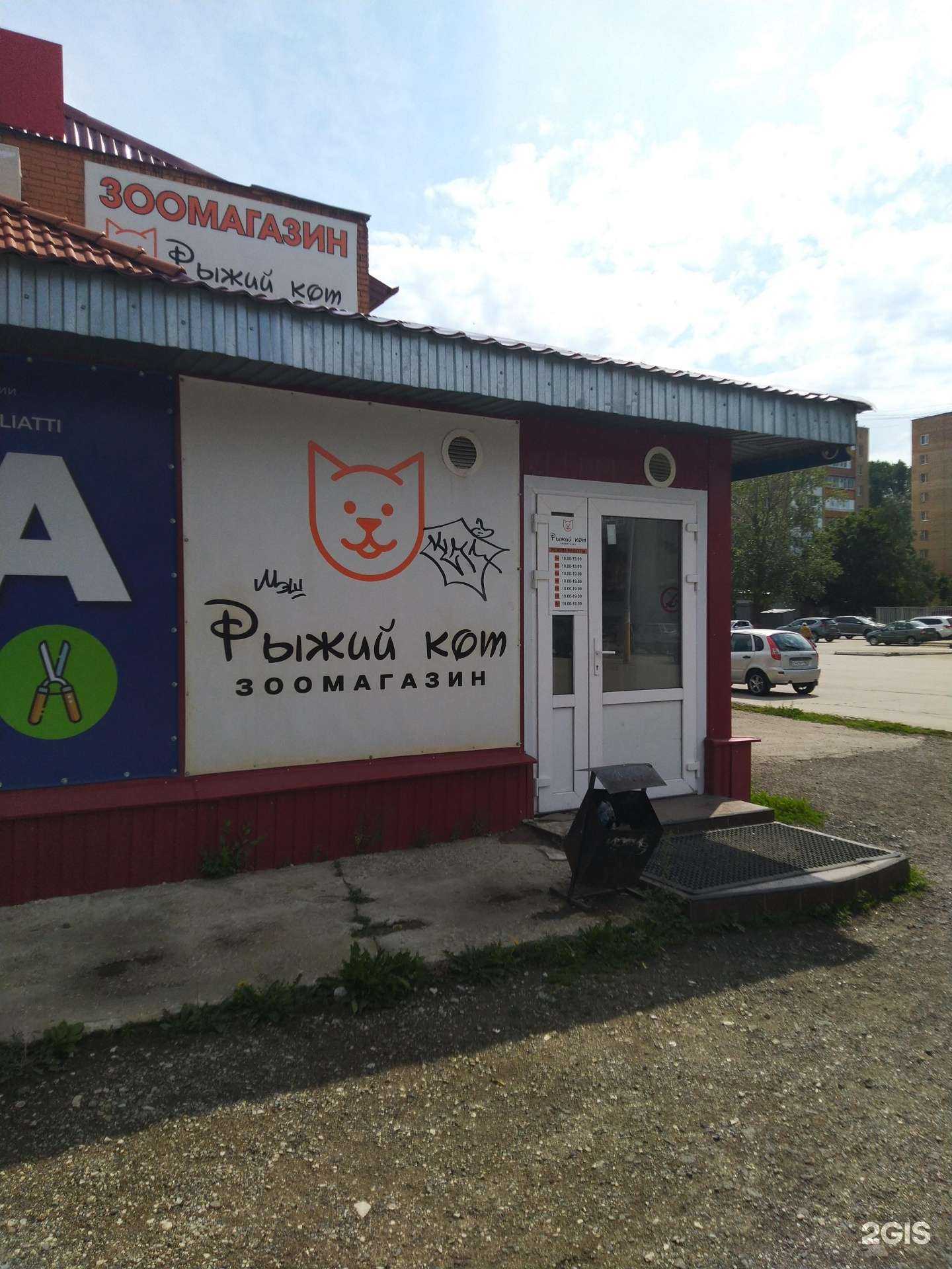 Отзывы на компанию Рыжий кот в Тольятти c фото