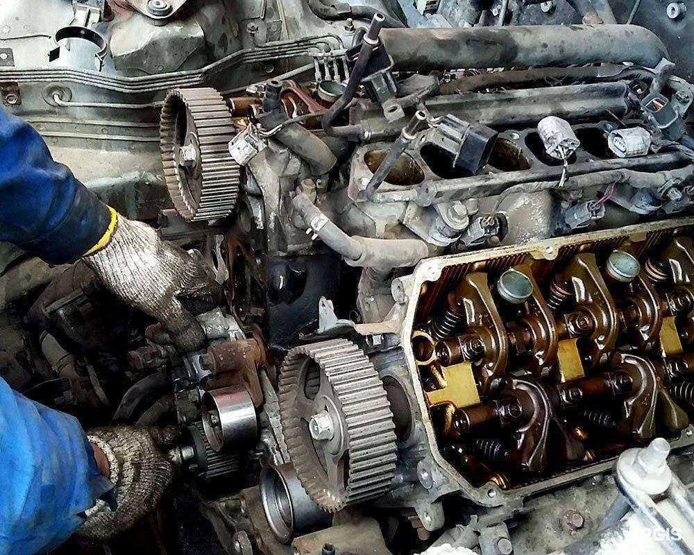 Отзывы на компанию Маленькая Франция в Челябинске c фото