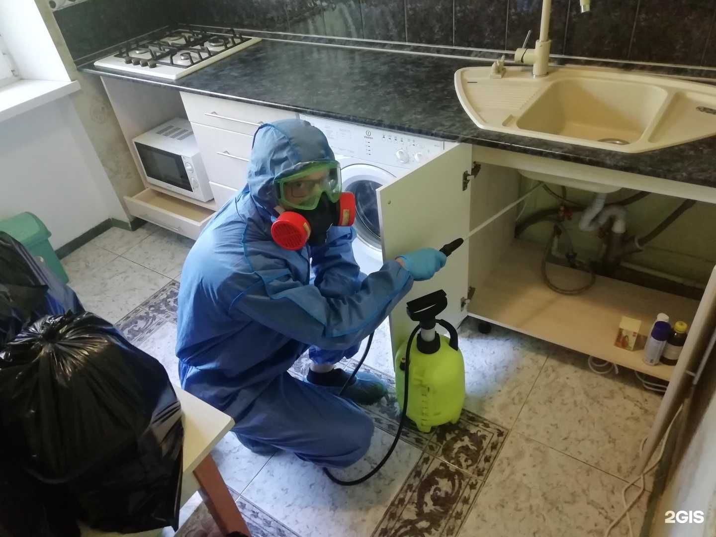 Отзывы на компанию Дезинсектор в г. Екатеринбург c фото