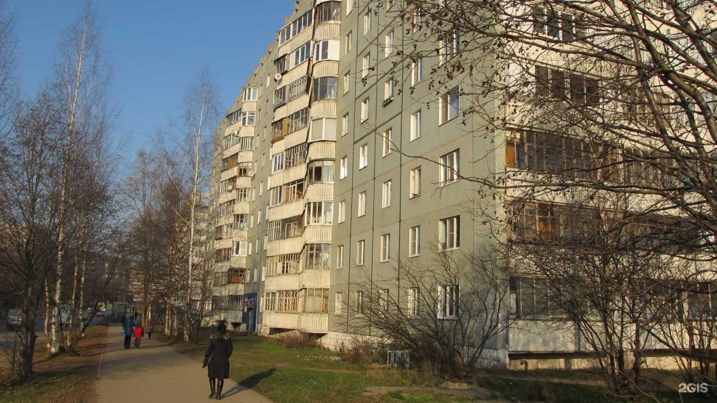 Отзывы на компанию НьюТон в Сыктывкаре c фото - фотография 2 из 2